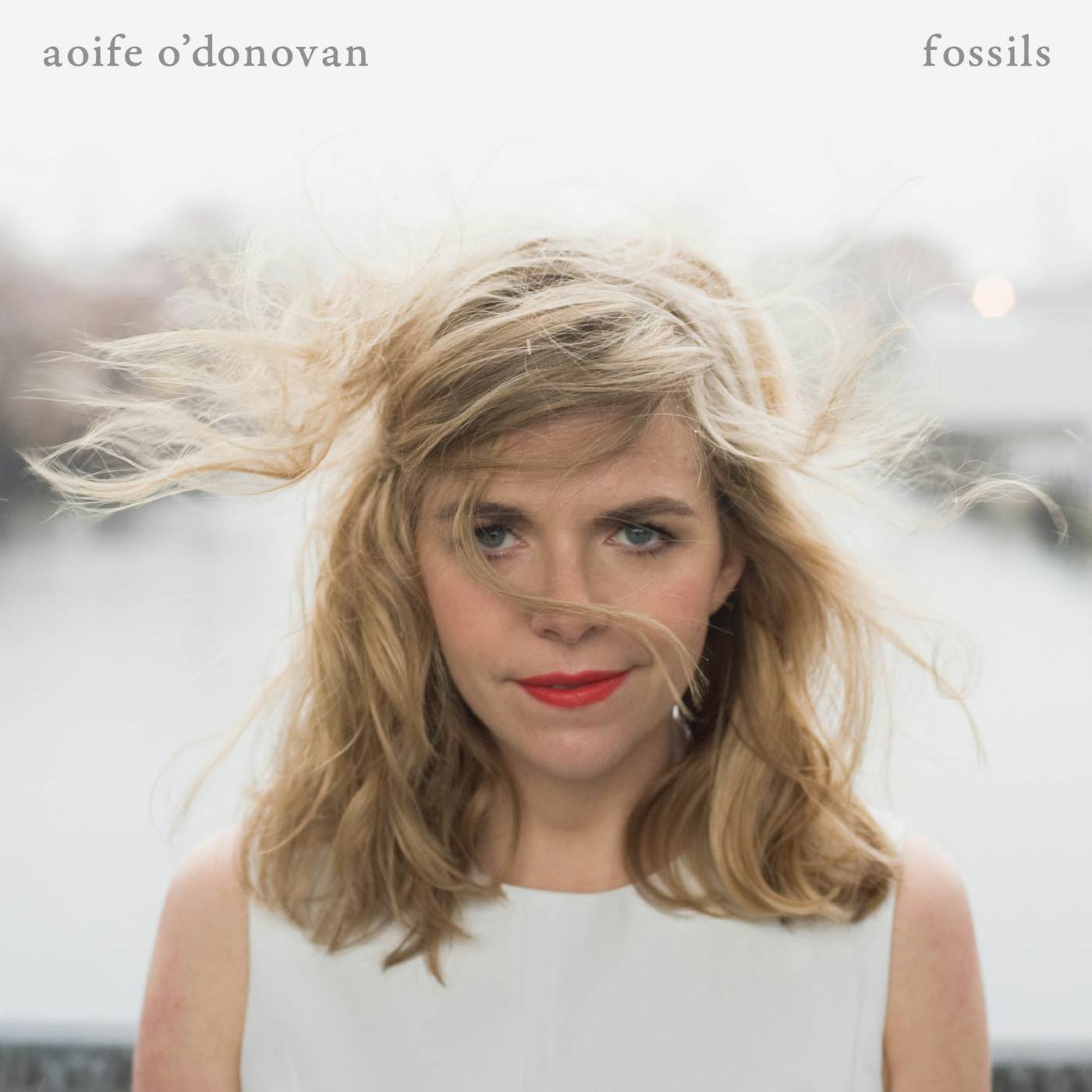 Aoife O'Donovan Fossils Vinyl Record