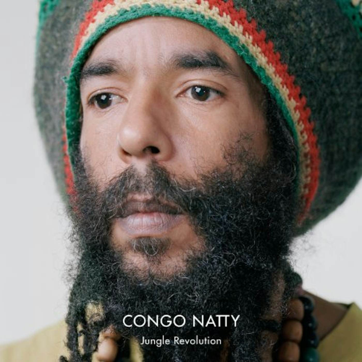 Congo Natty JUNGLE REVOLUTION Vinyl Record