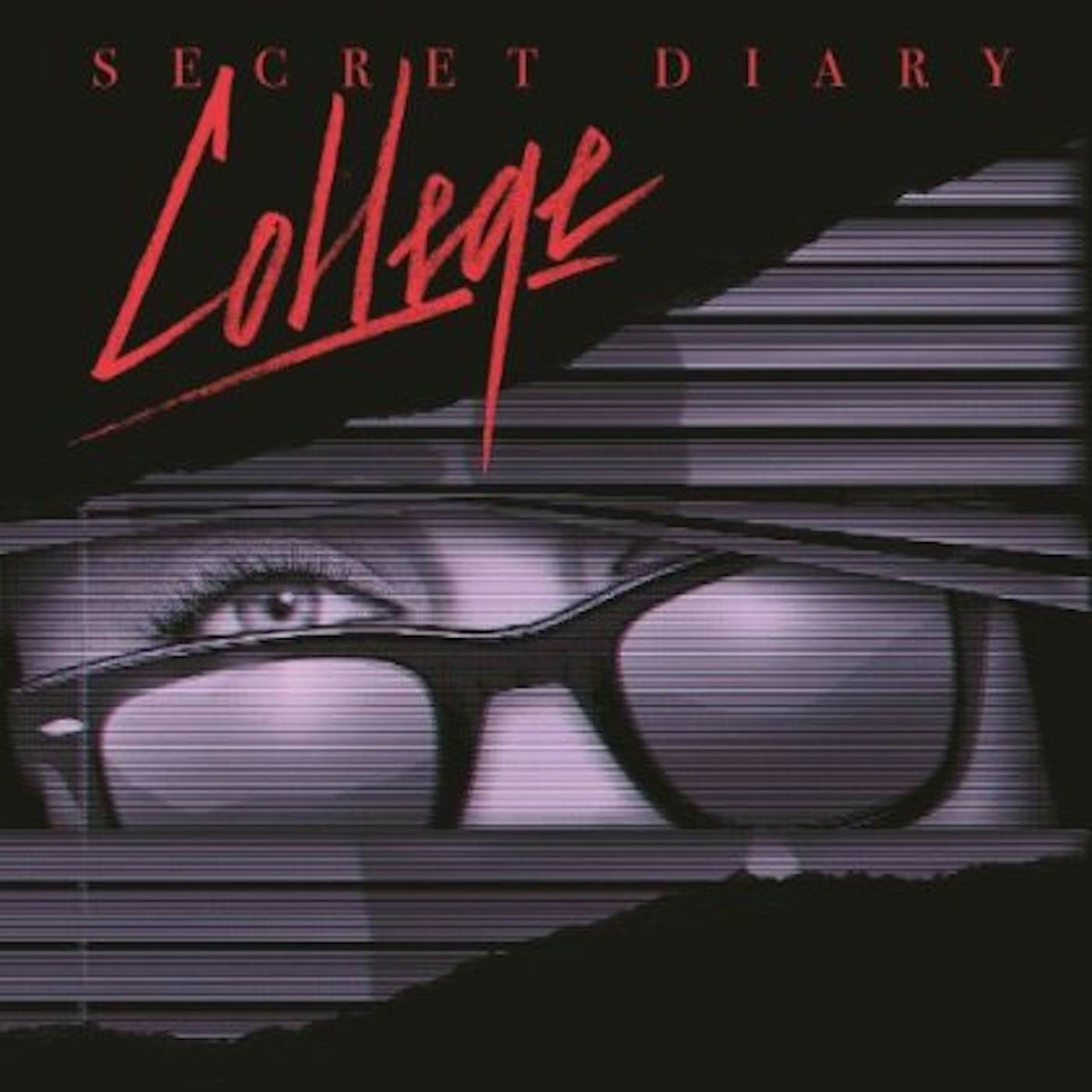 College SECRET DIARY CD
