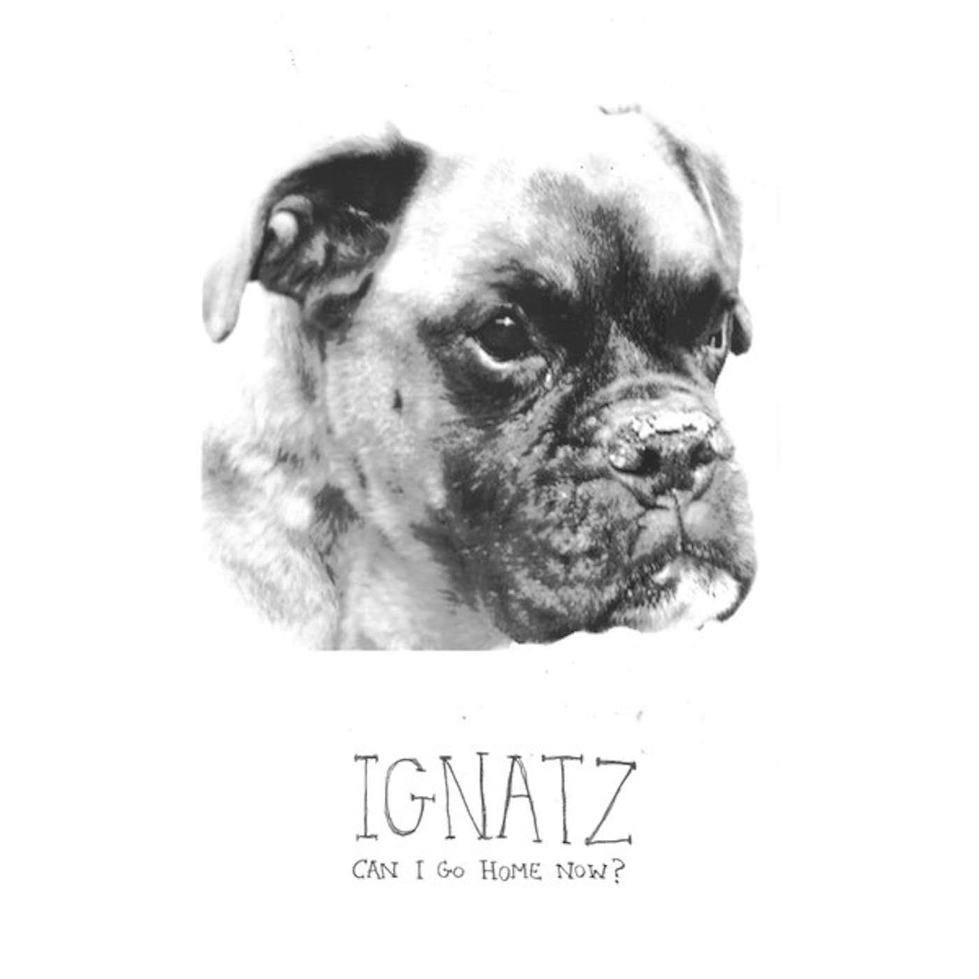 Ignatz CAN I GO HOME NOW Vinyl Record