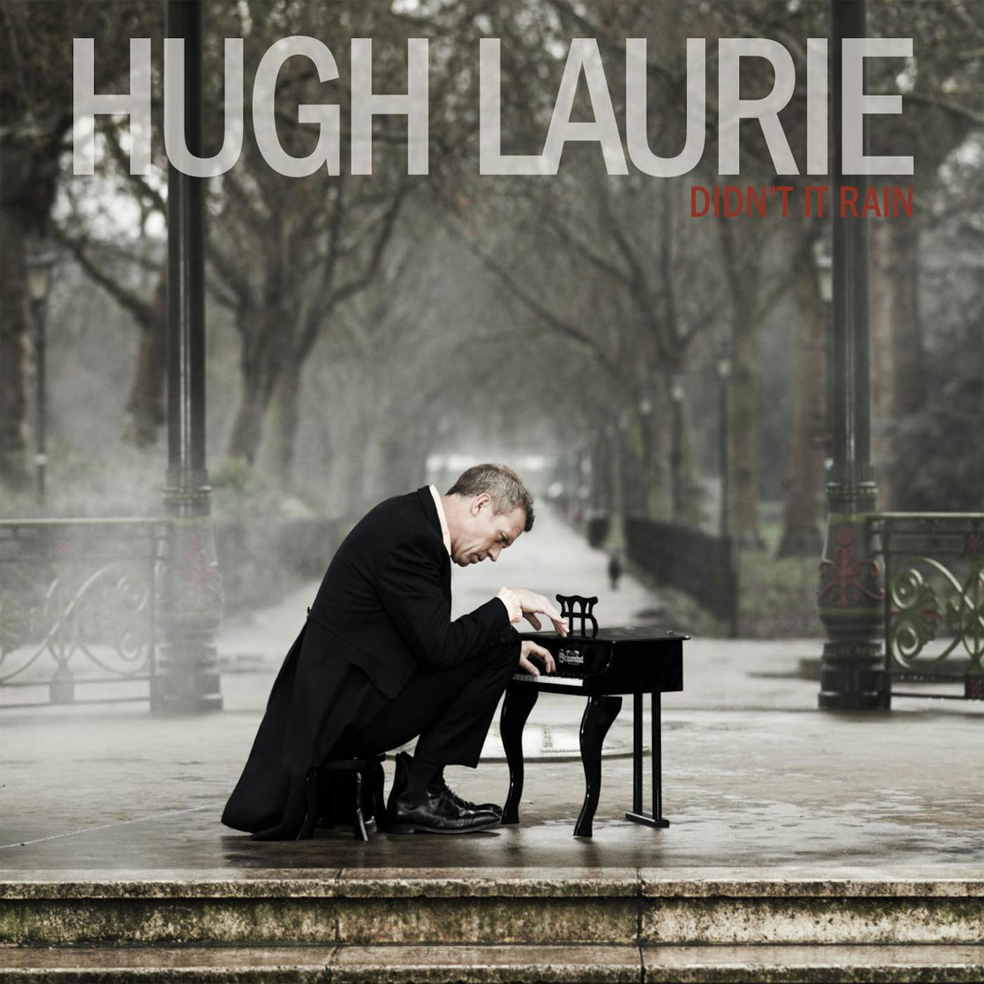 Hugh Laurie DIDN'T IT RAIN CD