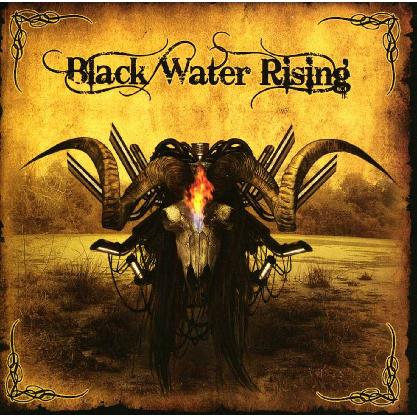 BLACK WATER RISING CD