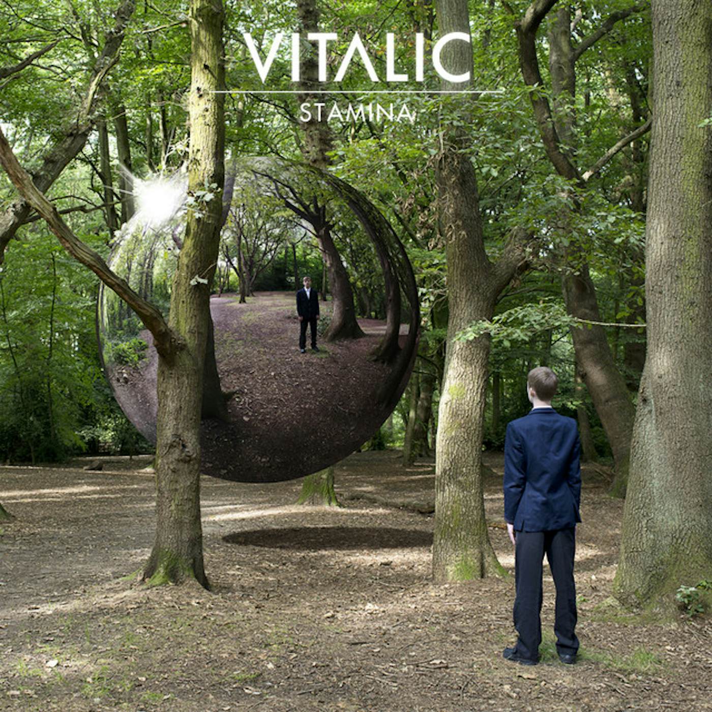 Vitalic Stamina Vinyl Record