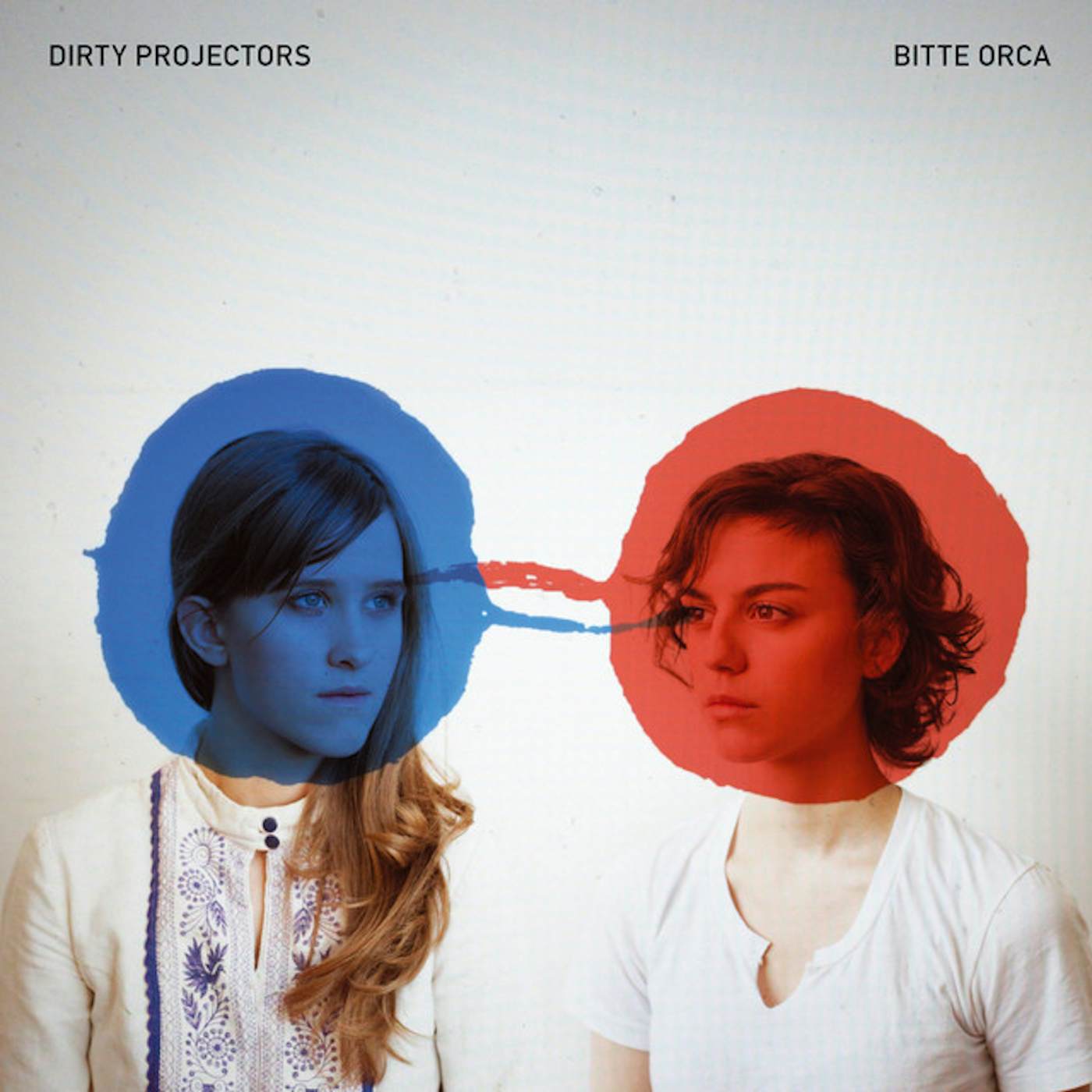 Dirty Projectors Bitte Orca Vinyl Record