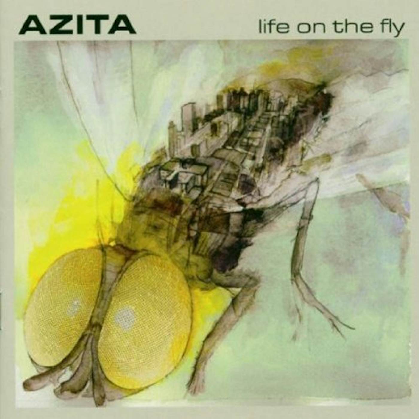 AZITA LIFE ON THE FLY Vinyl Record
