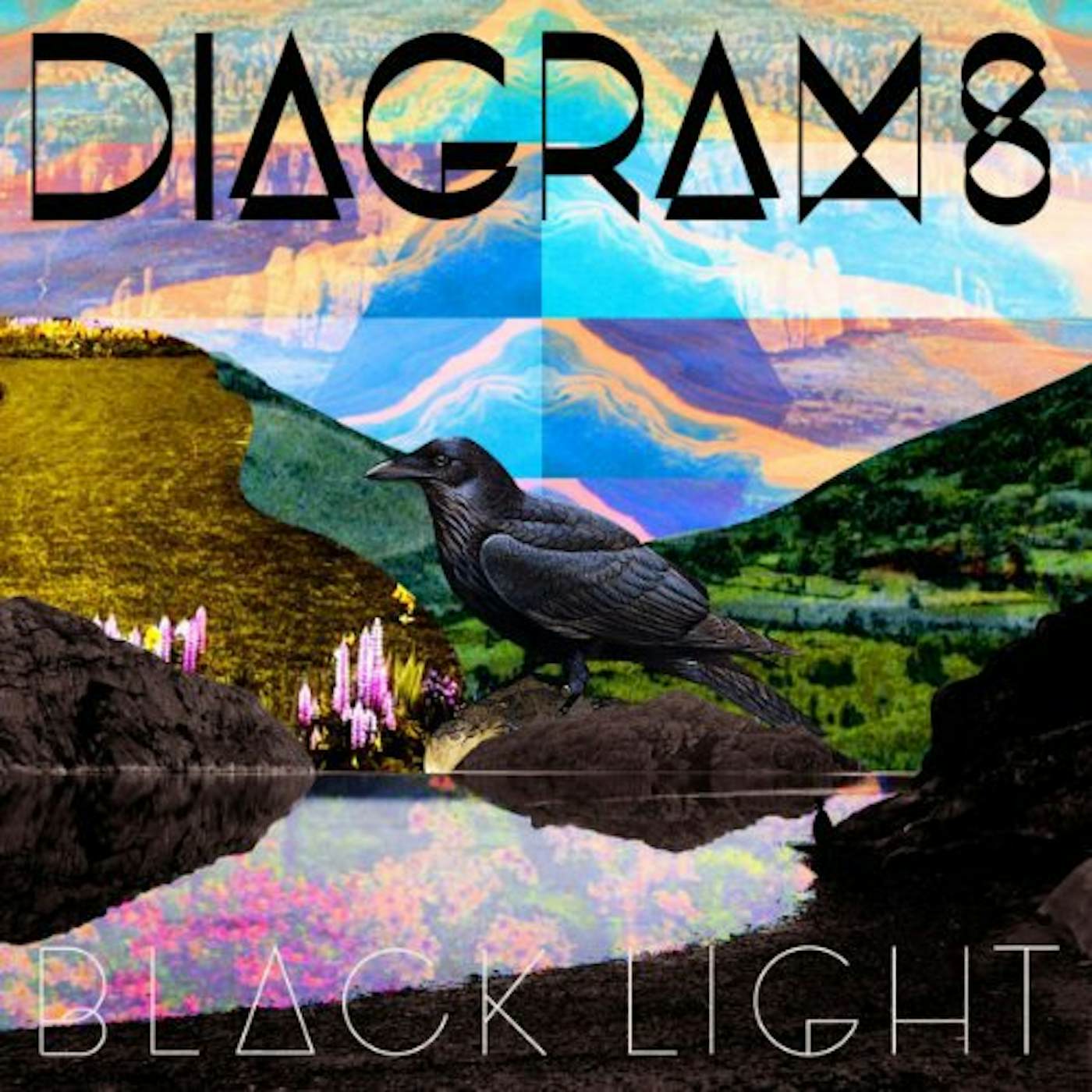 Diagrams Black Light Vinyl Record