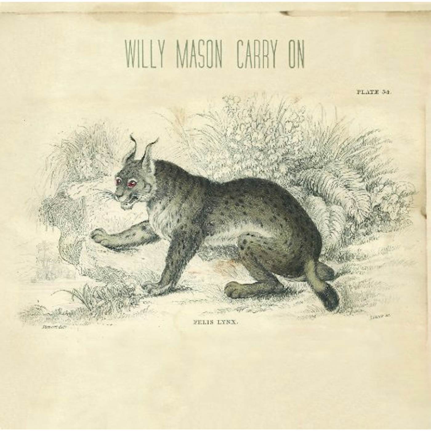 Willy Mason Carry On Vinyl Record