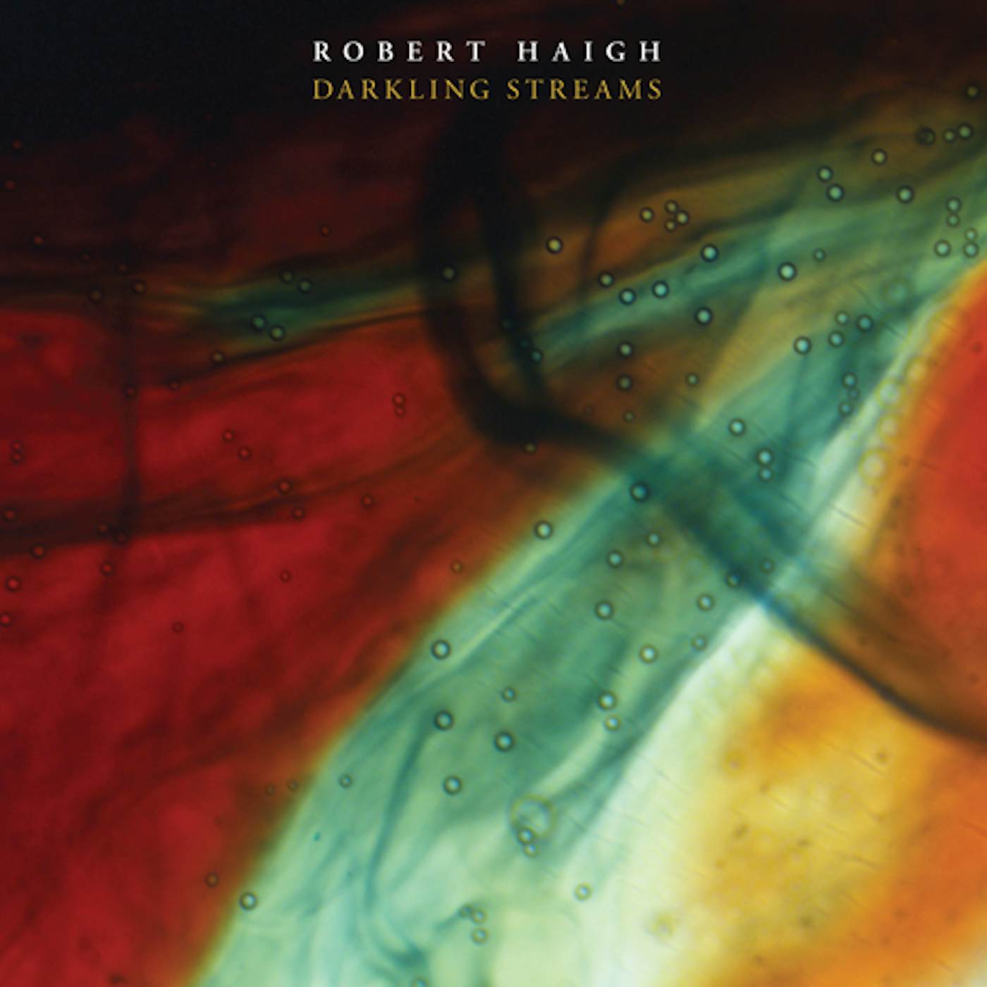 Robert Haigh DARKLING STREAMS CD