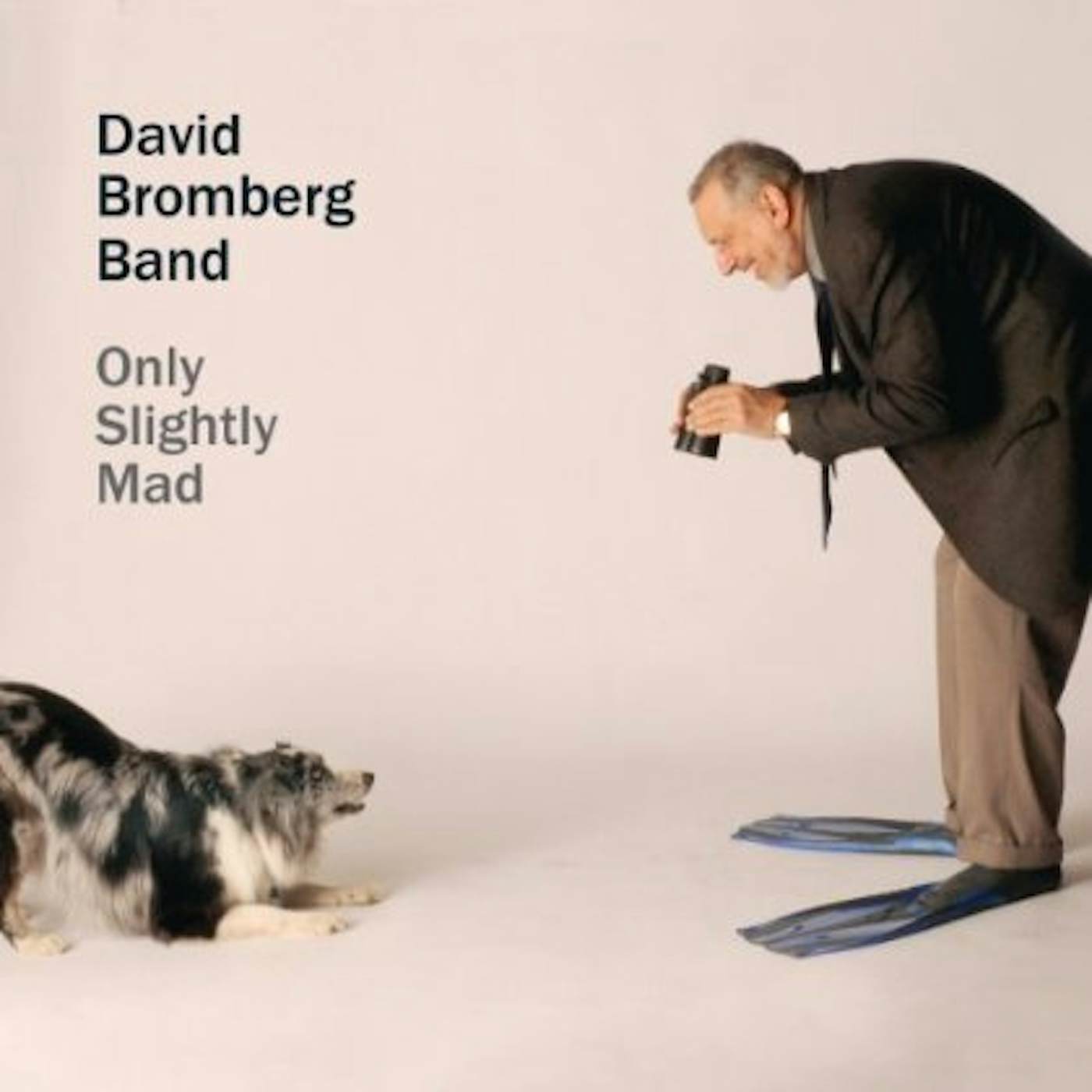 David Bromberg ONLY SLIGHTLY MAD CD