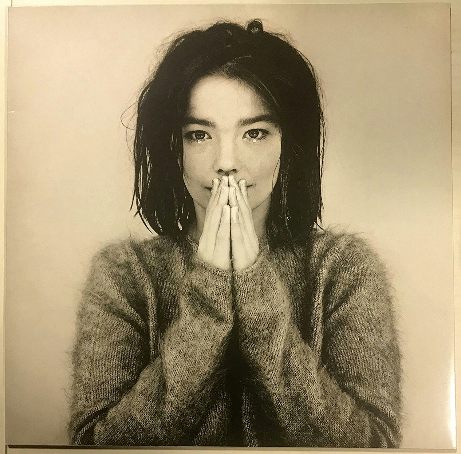 Björk Debut Vinyl Record