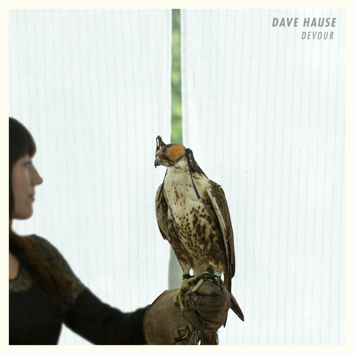 Dave Hause Devour Vinyl Record