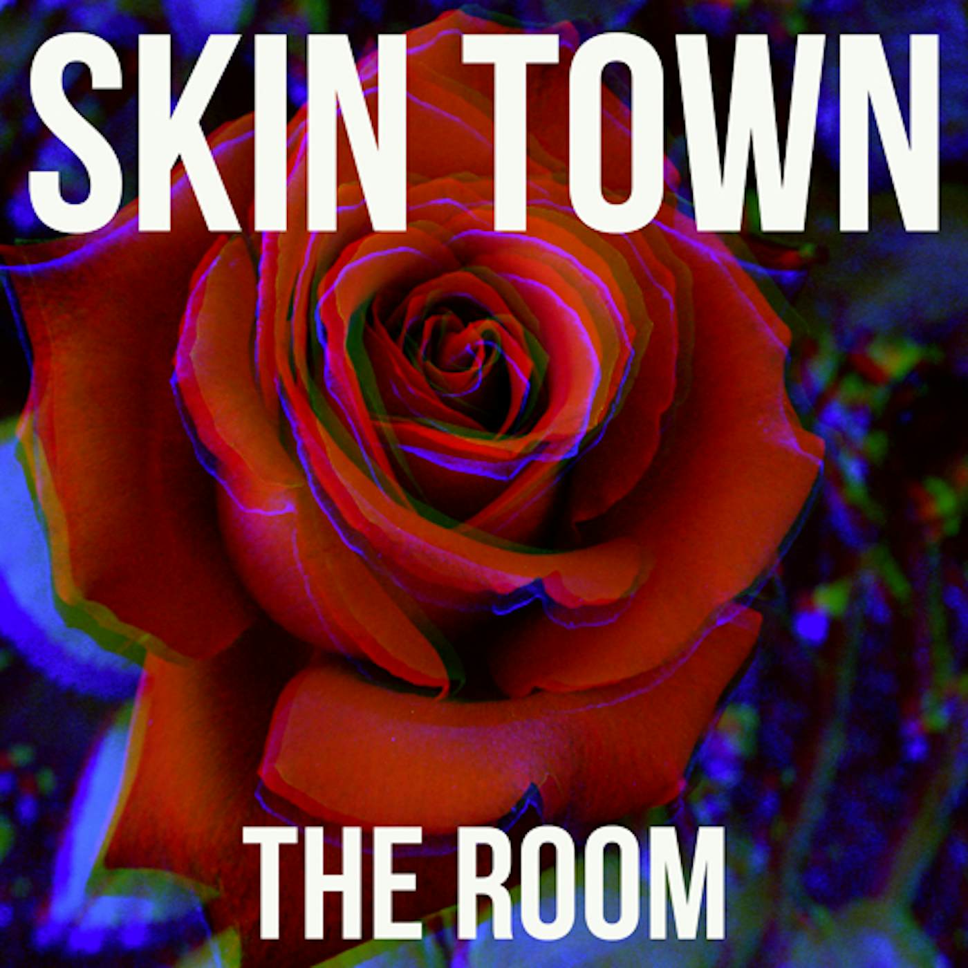 Skin Town ROOM CD