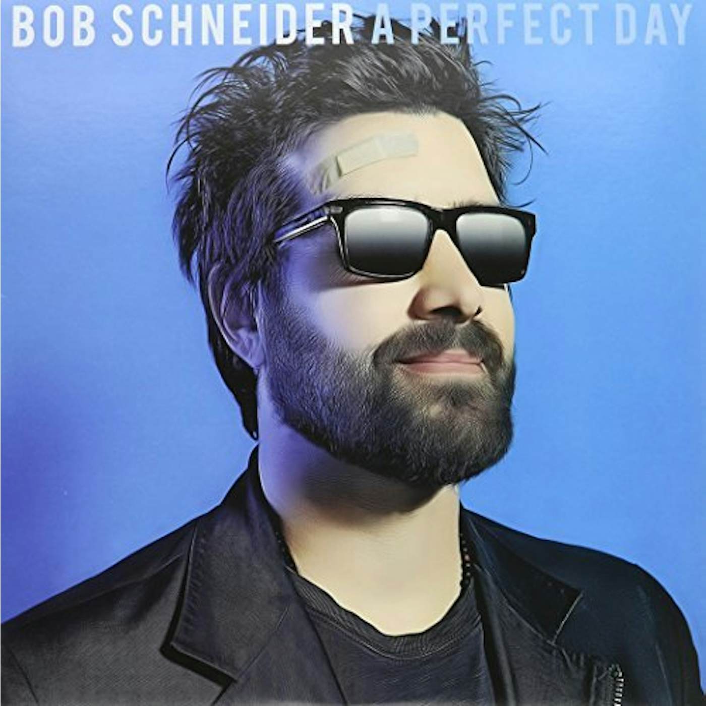 Bob Schneider PERFECT DAY Vinyl Record