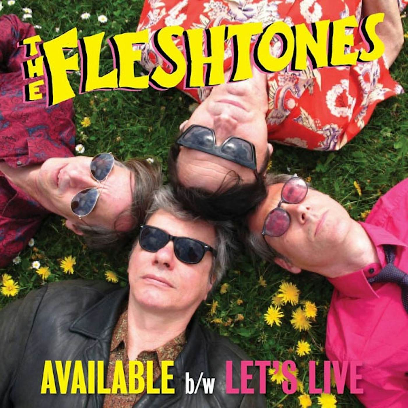 The Fleshtones AVAILABLE Vinyl Record