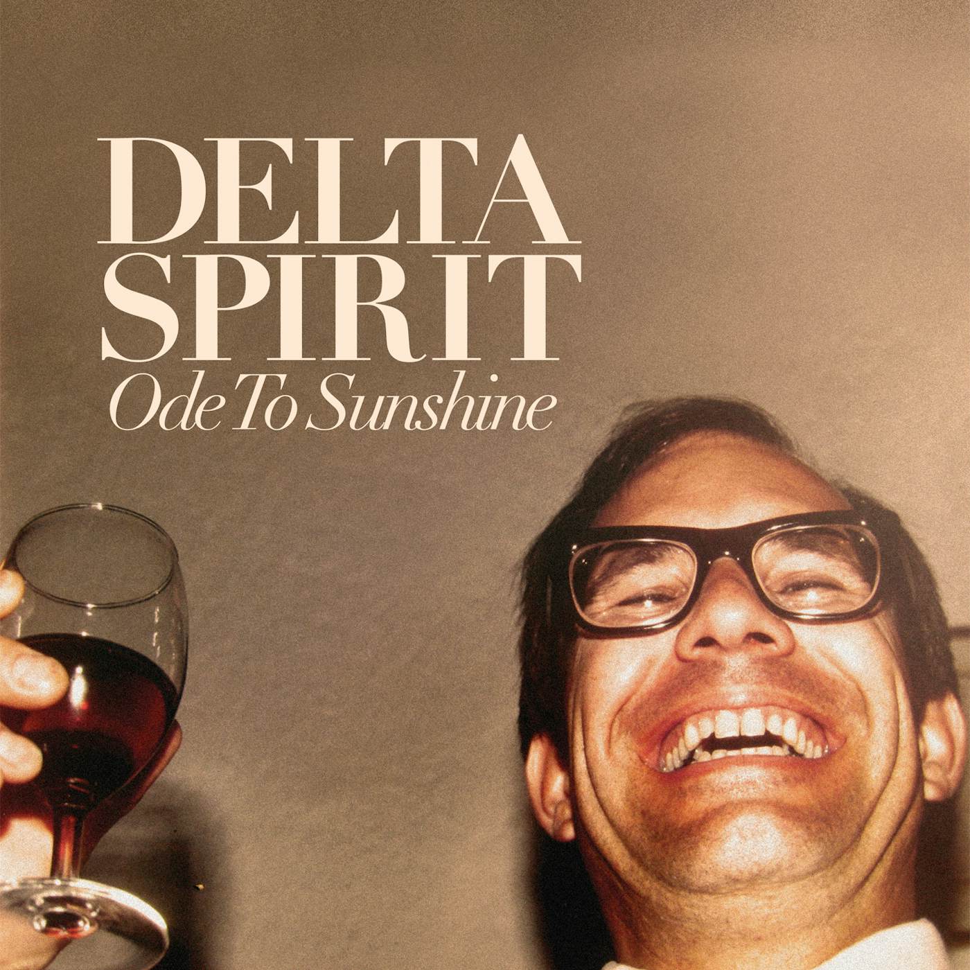 Delta Spirit Ode to Sunshine Vinyl Record