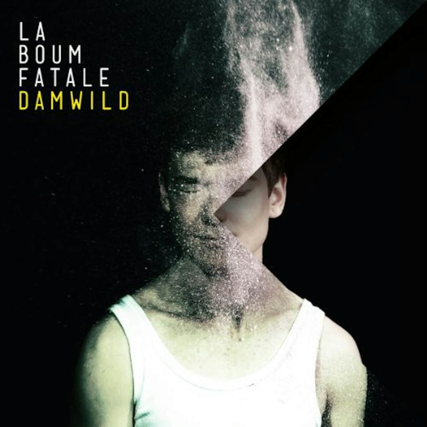 La Boum Fatale Damwild Vinyl Record