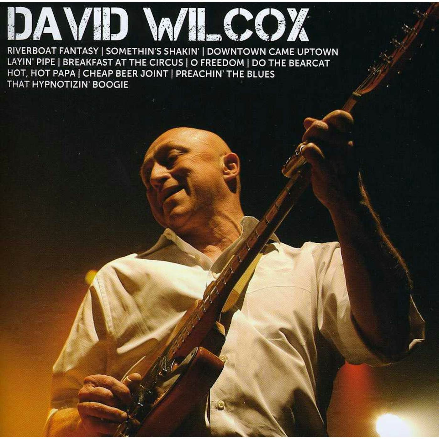 David Wilcox ICON CD