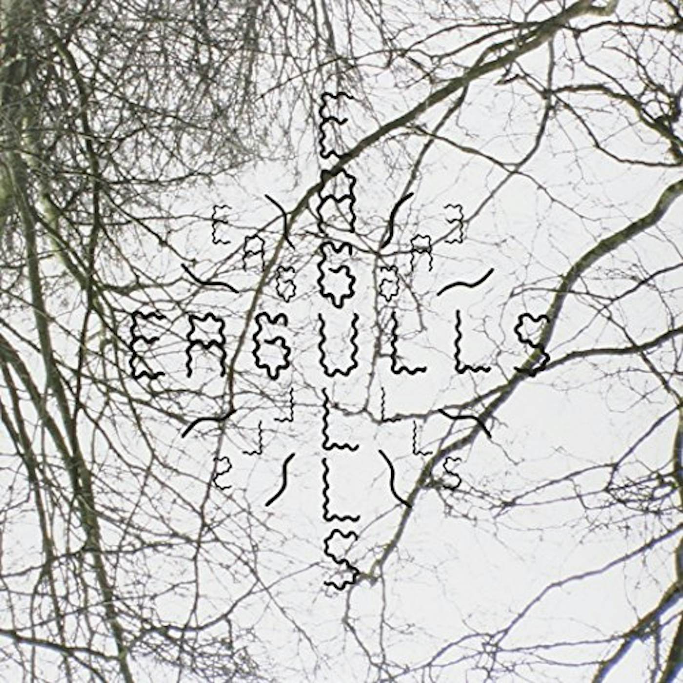 Eagulls Nerve Endings Vinyl Record