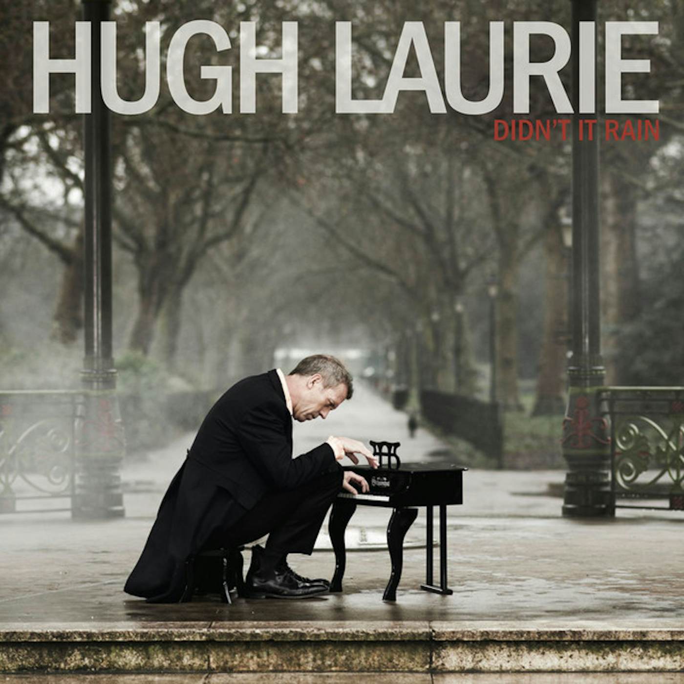 Hugh Laurie DIDN'T IT RAIN CD