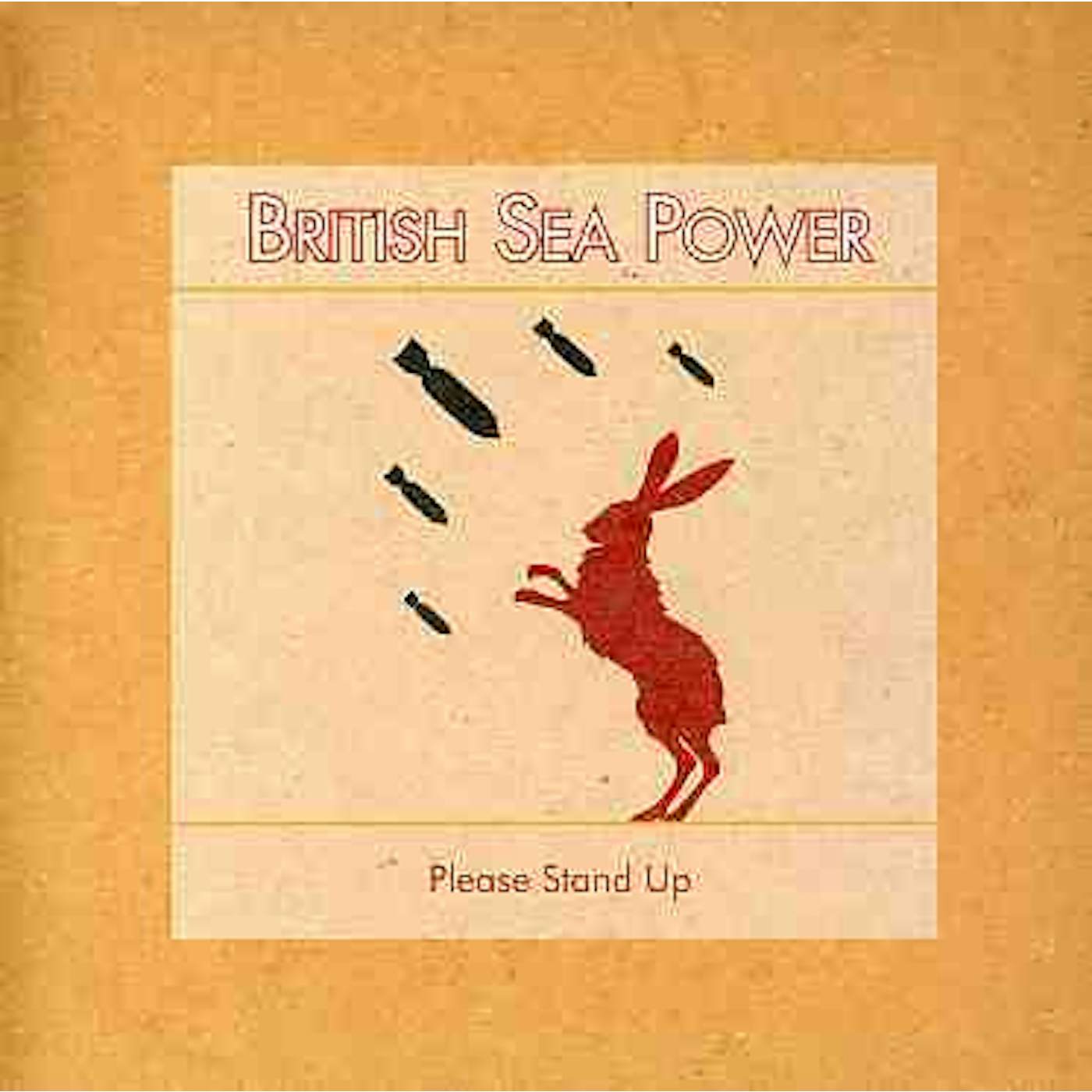 British Sea Power Please Stand Up Vinyl Record