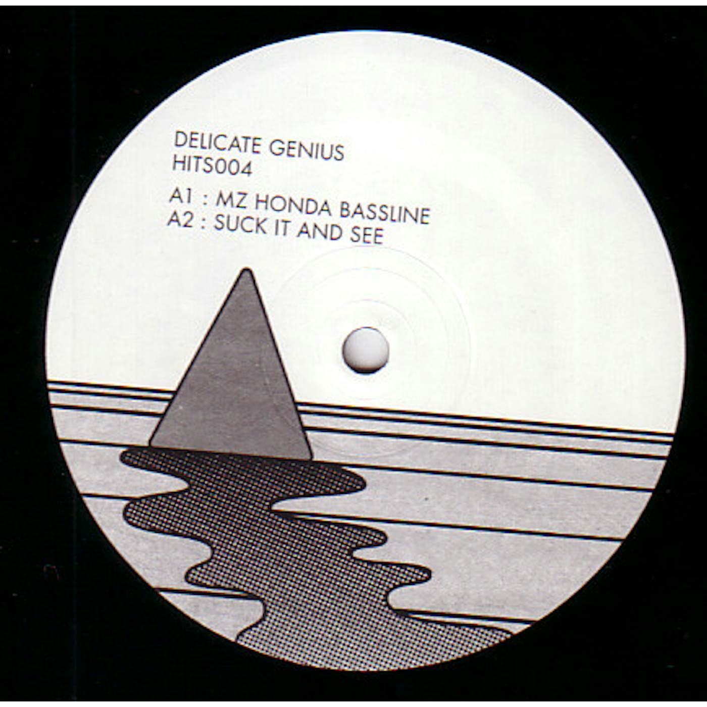 The Delicate Genius Vinyl Record