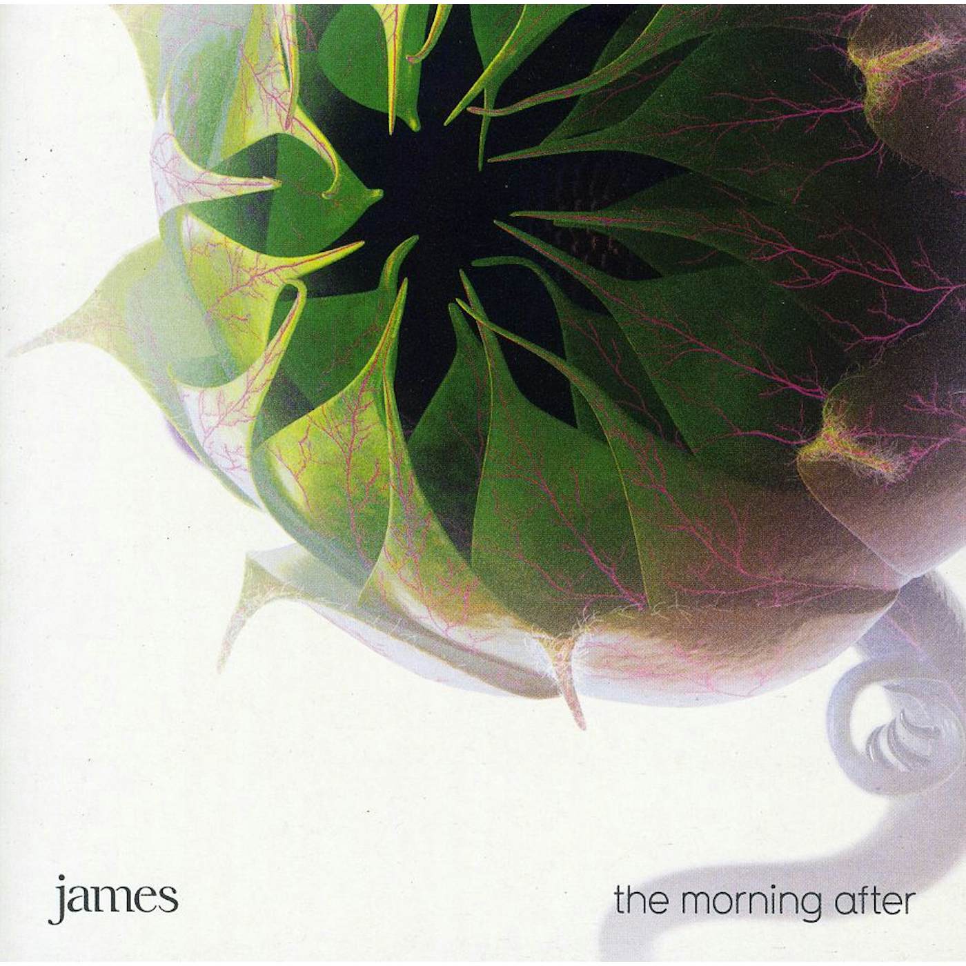 James MORNING AFTER CD