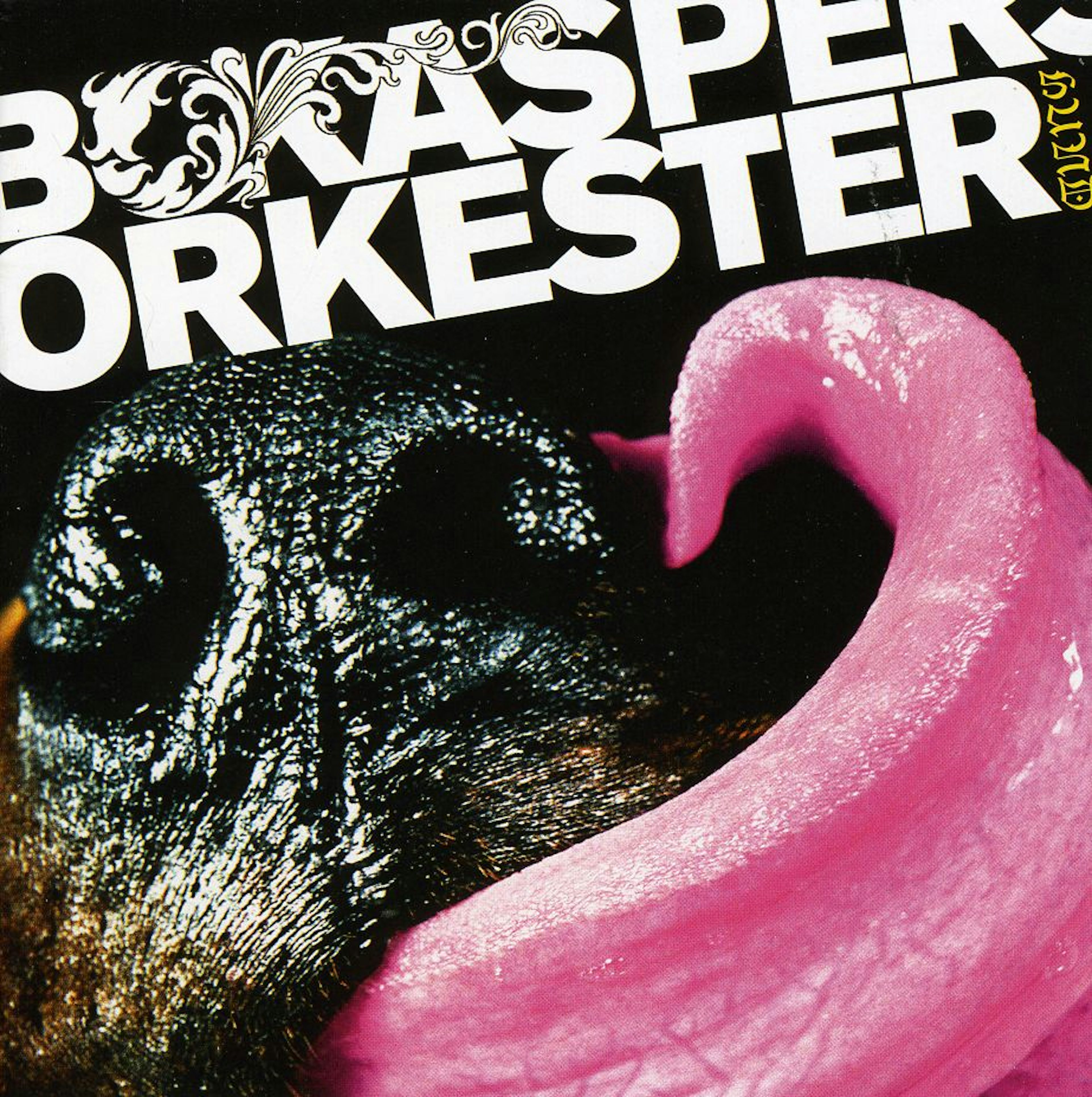 Bo Kaspers Orkester HUND