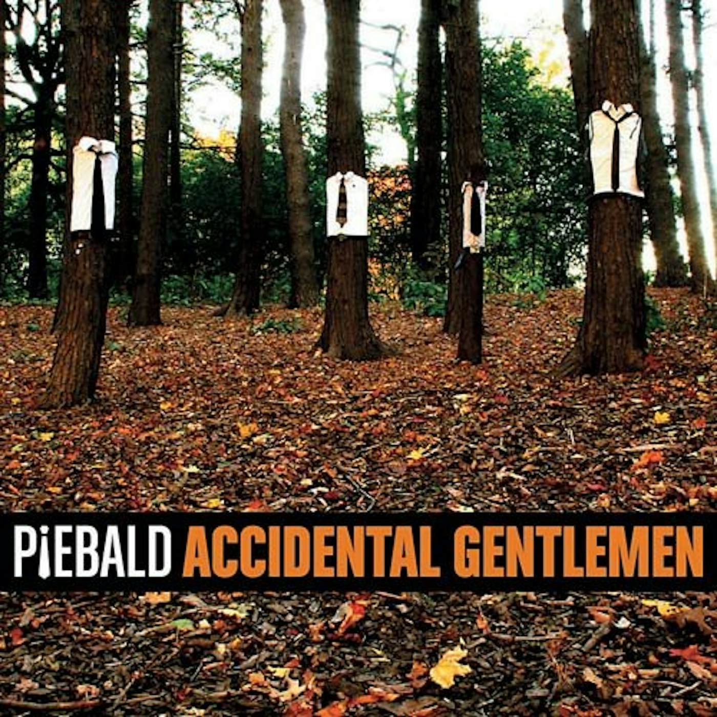 Piebald Accidental Gentleman Vinyl Record