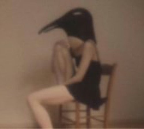 Penguin Cafe Orchestra CD