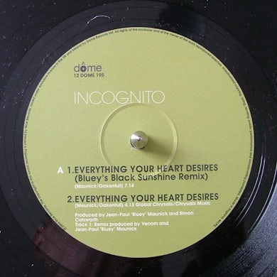 Incognito EVERYTHING YOUR HEART DESIRES Vinyl Record - UK Release