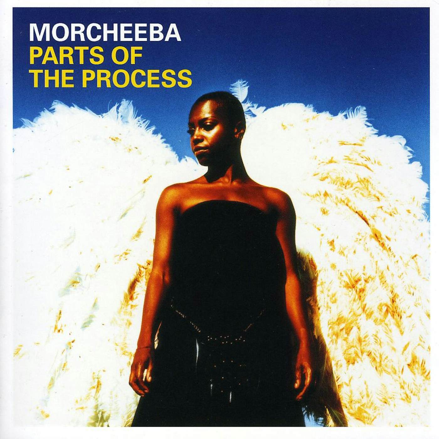 Morcheeba PARTS OF THE PROCESS CD
