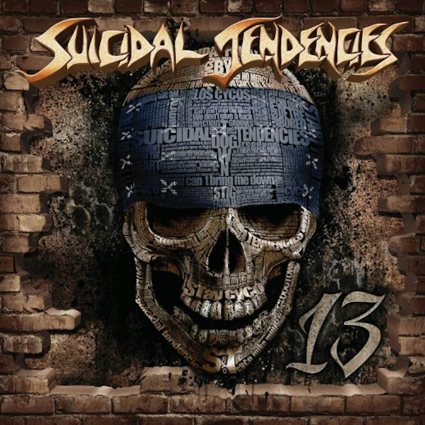 Suicidal Tendencies 13 Vinyl Record