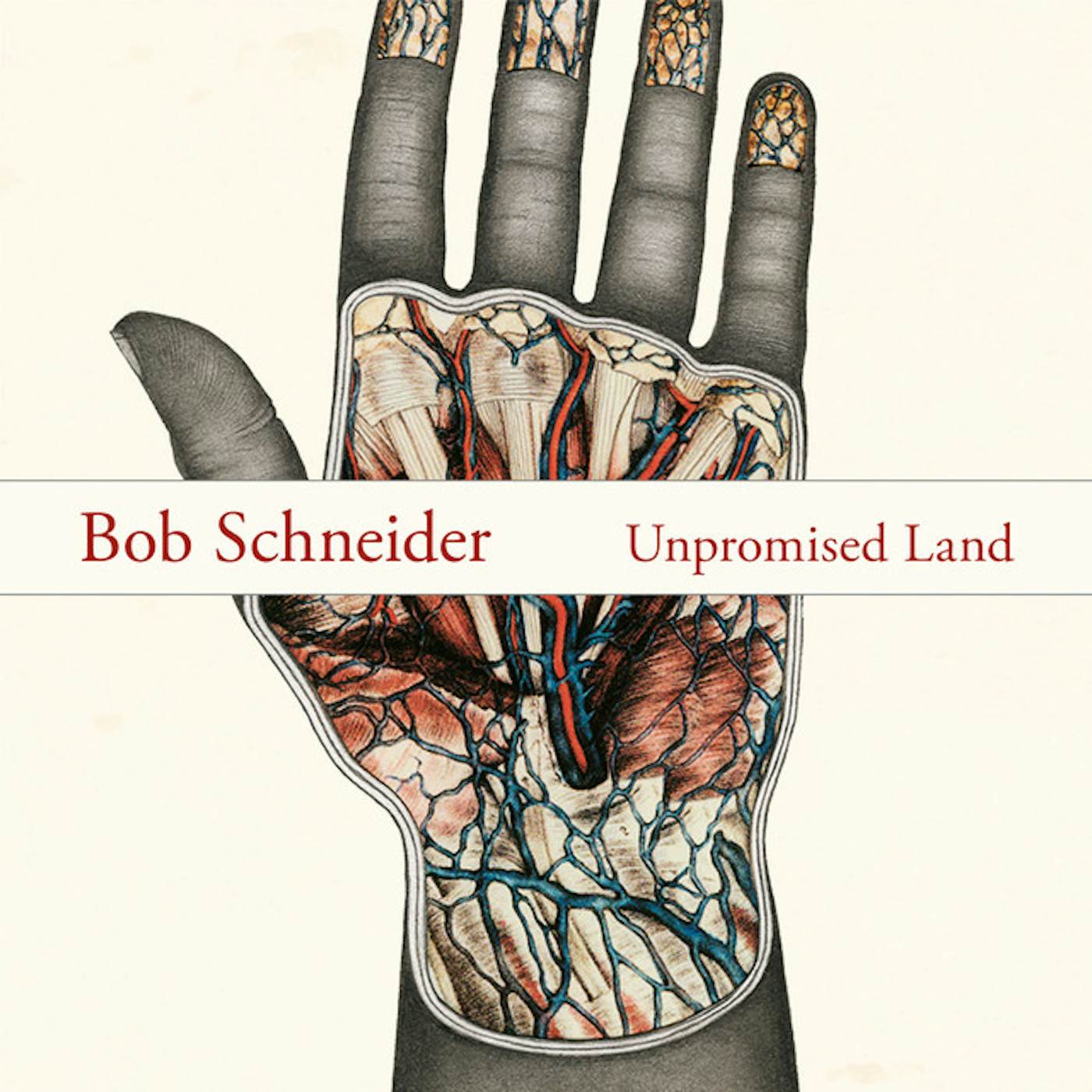 Bob Schneider Unpromised Land Vinyl Record