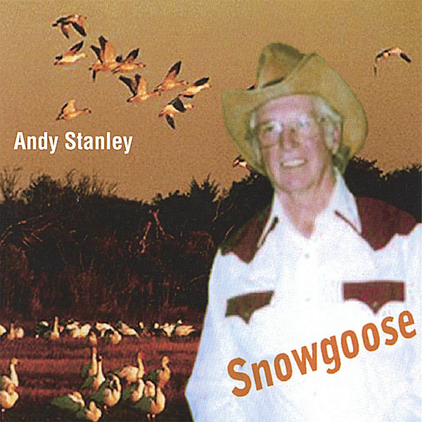 Andy Stanley SNOWGOOSE CD