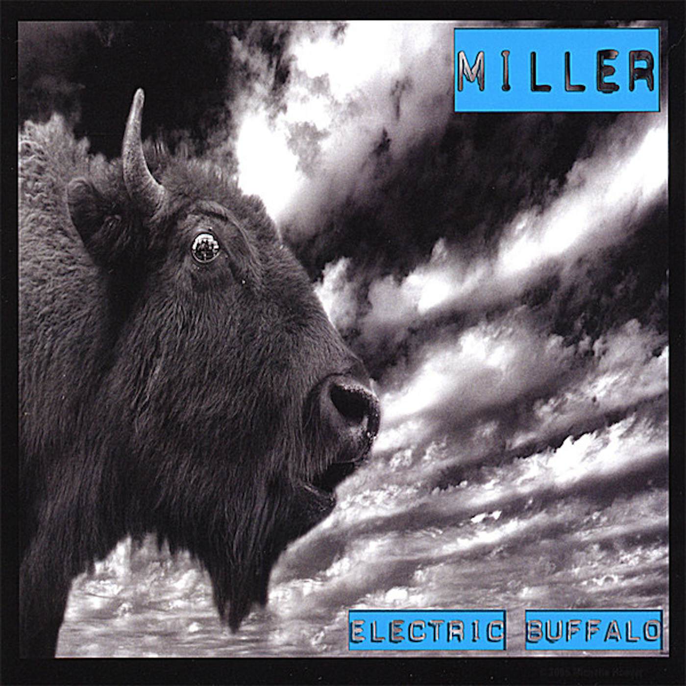 Miller ELECTRIC BUFFALO CD