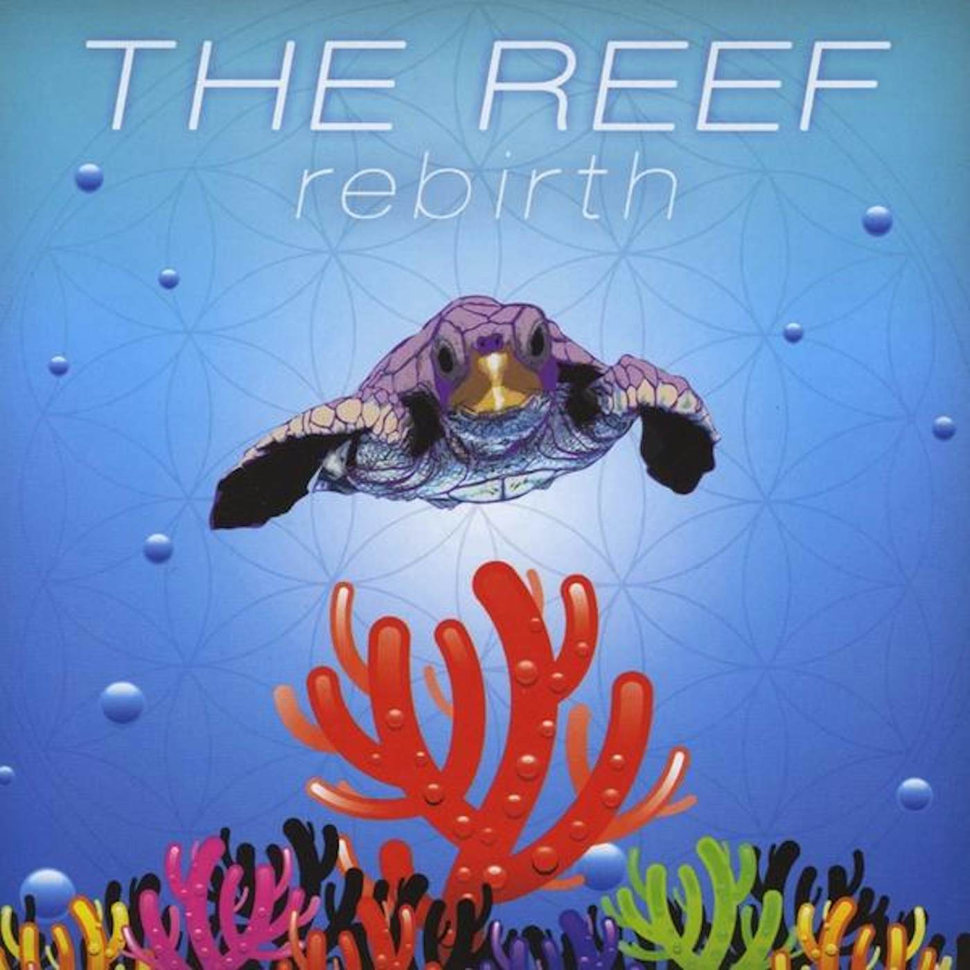 Reef REBIRTH CD