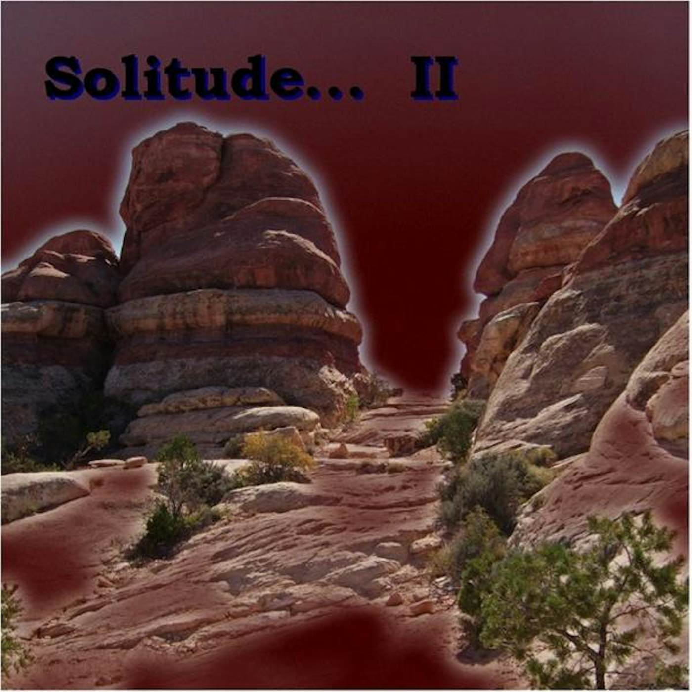 SOLITUDE 2 CD