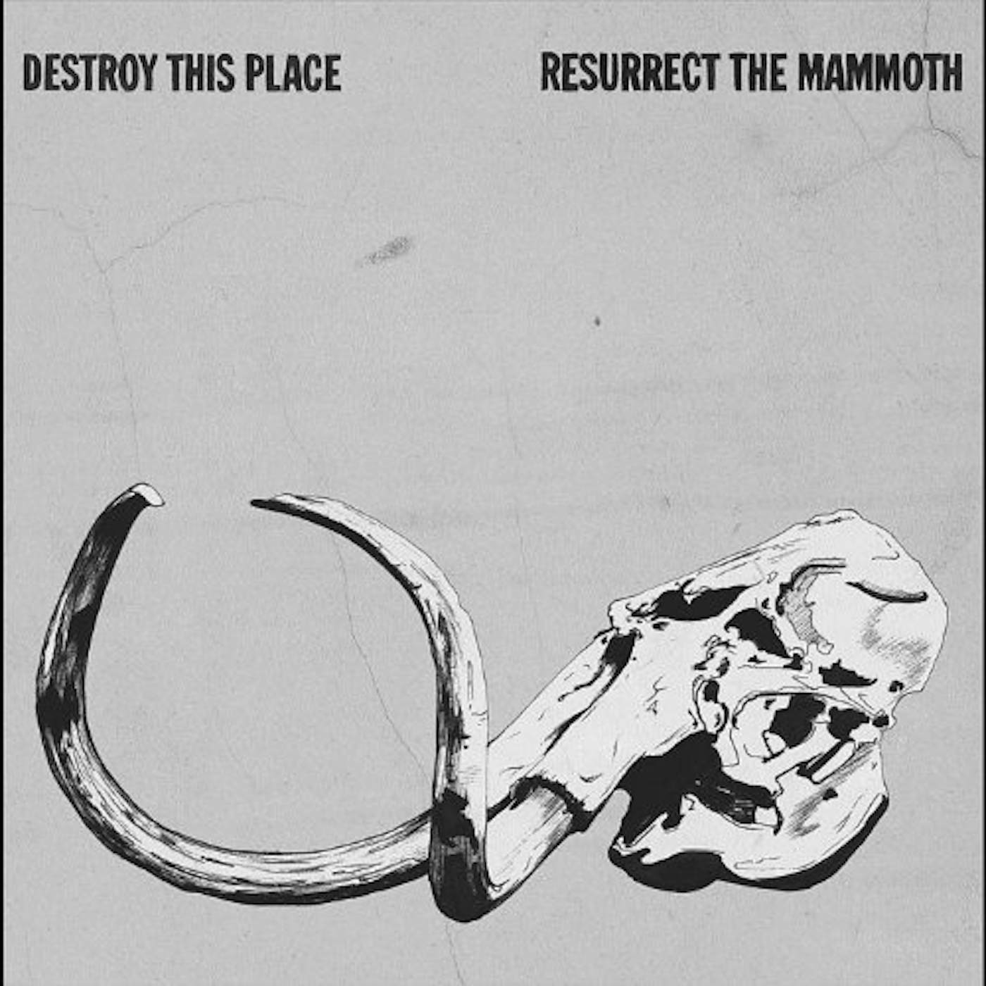 Destroy This Place Resurrect the Mammoth Vinyl Record