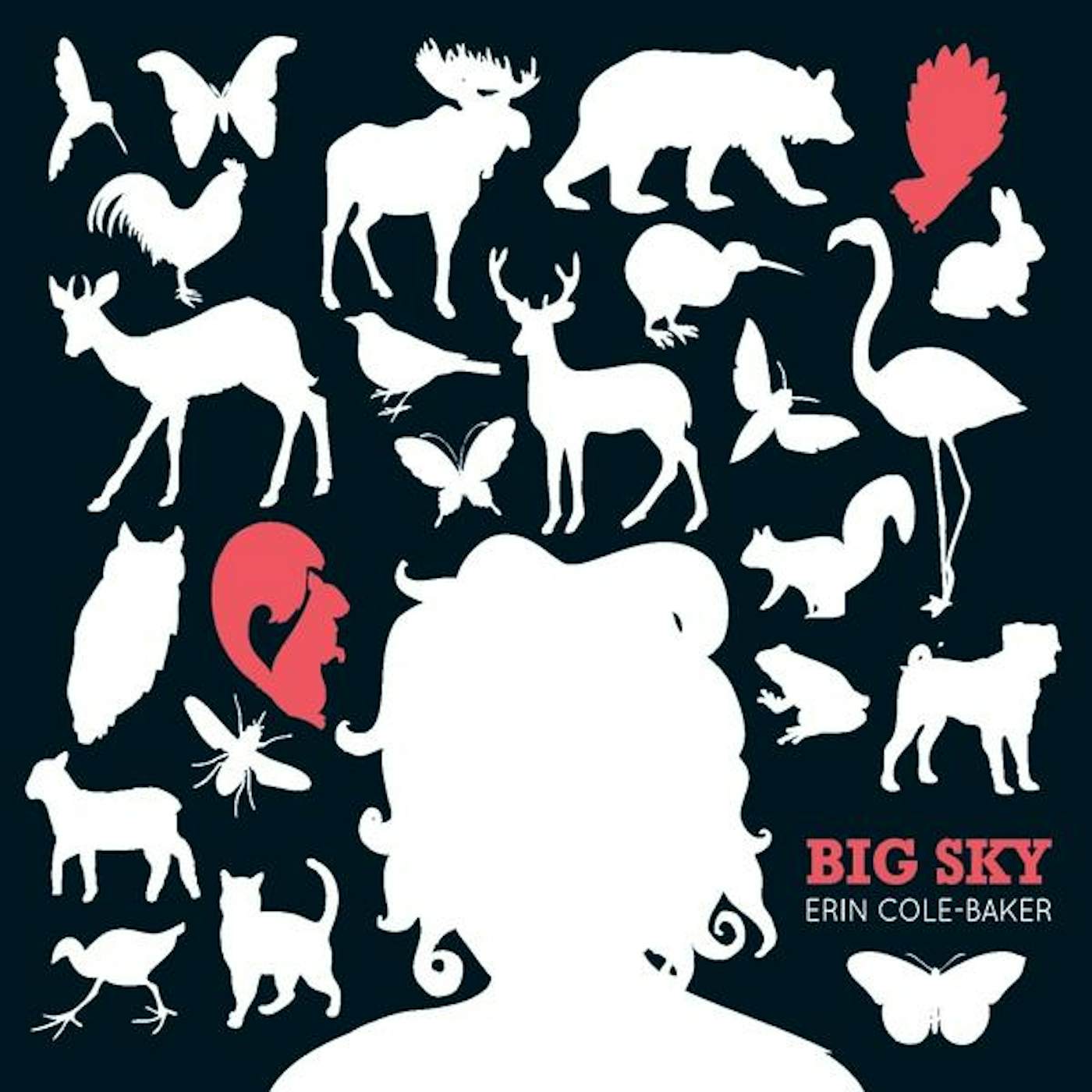 Erin Cole-Baker BIG SKY CD