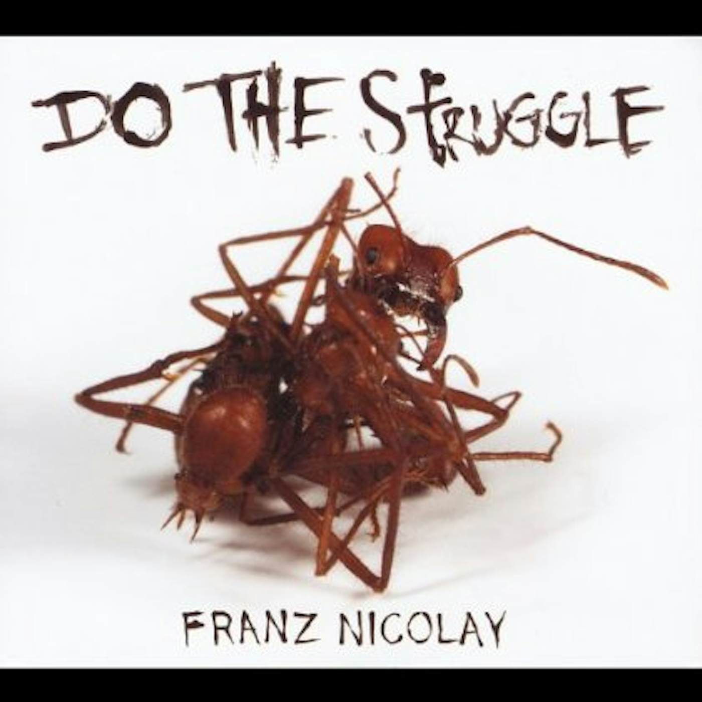 Franz Nicolay DO THE STRUGGLE CD
