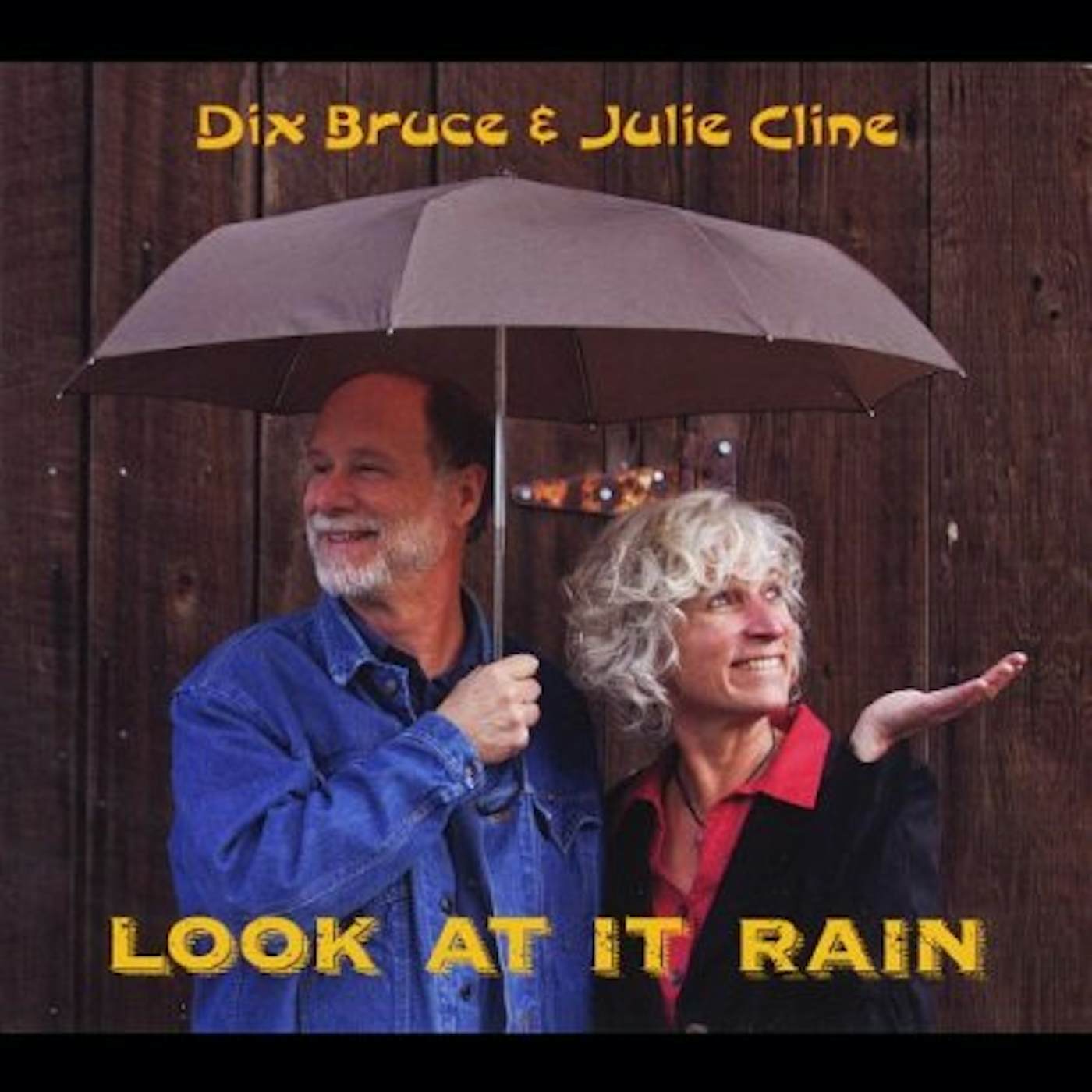 Dix Bruce LOOK AT IT RAIN CD