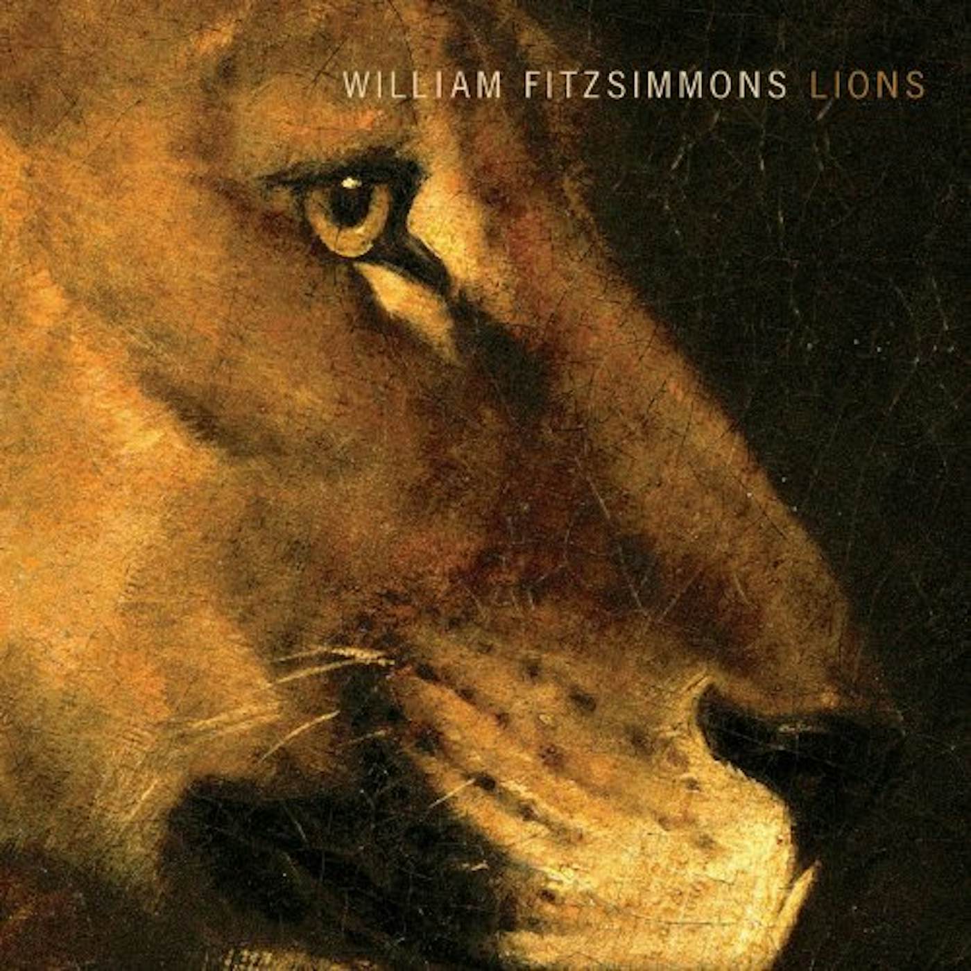 William Fitzsimmons Lions Vinyl Record