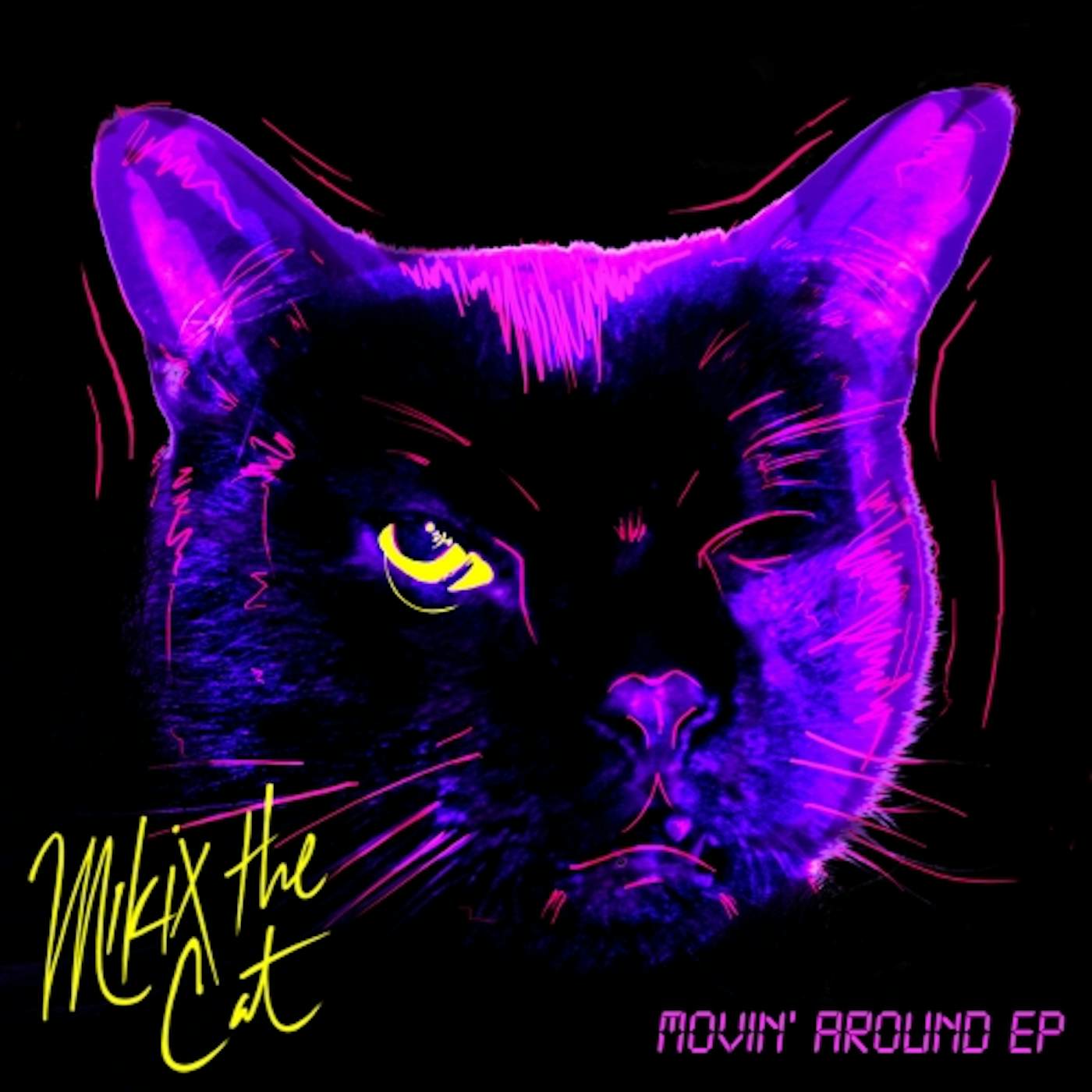 Mikix The Cat Movin Around Vinyl Record