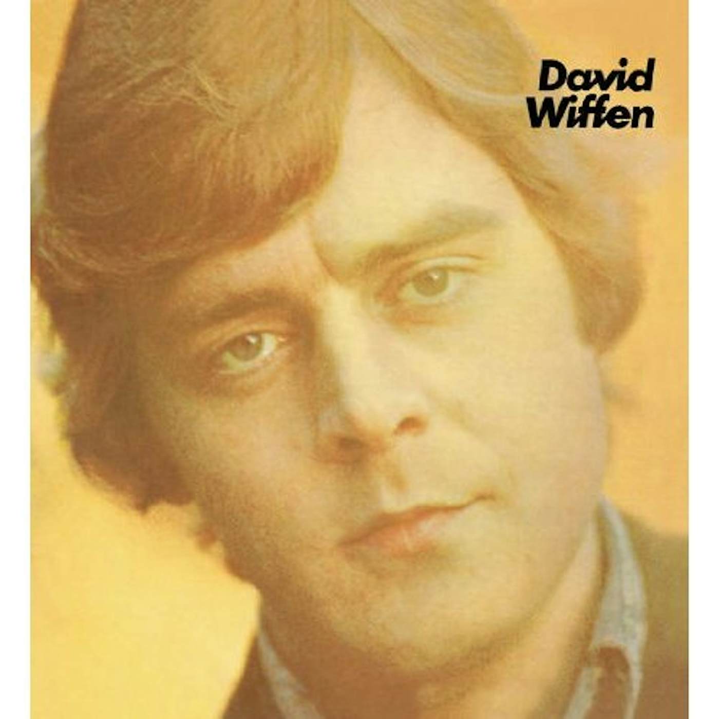 David Wiffen Vinyl Record