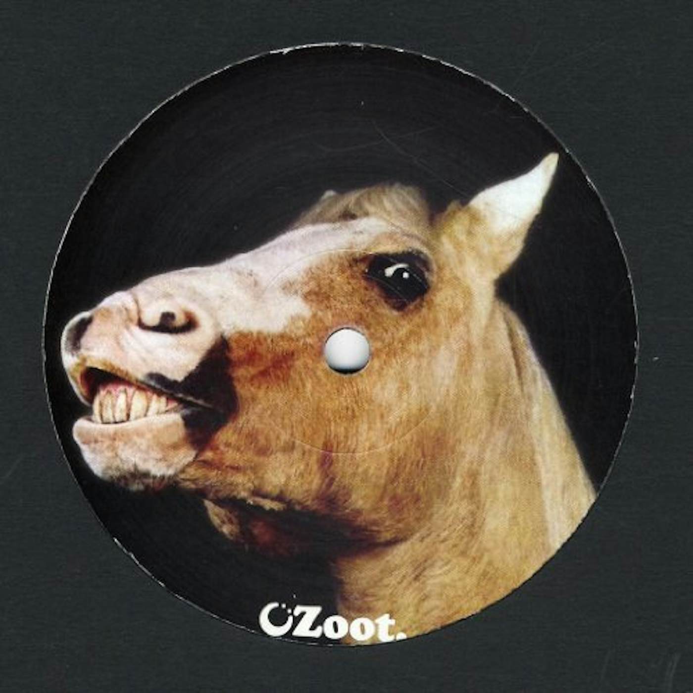 The Maghreban HORSE/CASIO Vinyl Record