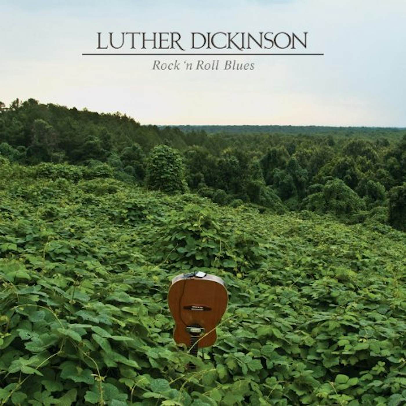 Luther Dickinson ROCK N ROLL BLUES Vinyl Record