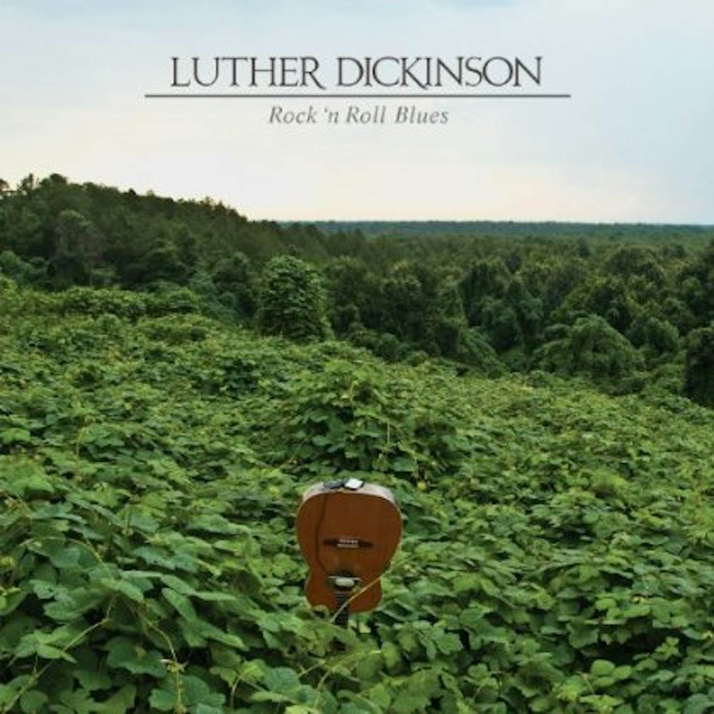 Luther Dickinson ROCK 'N ROLL BLUES CD