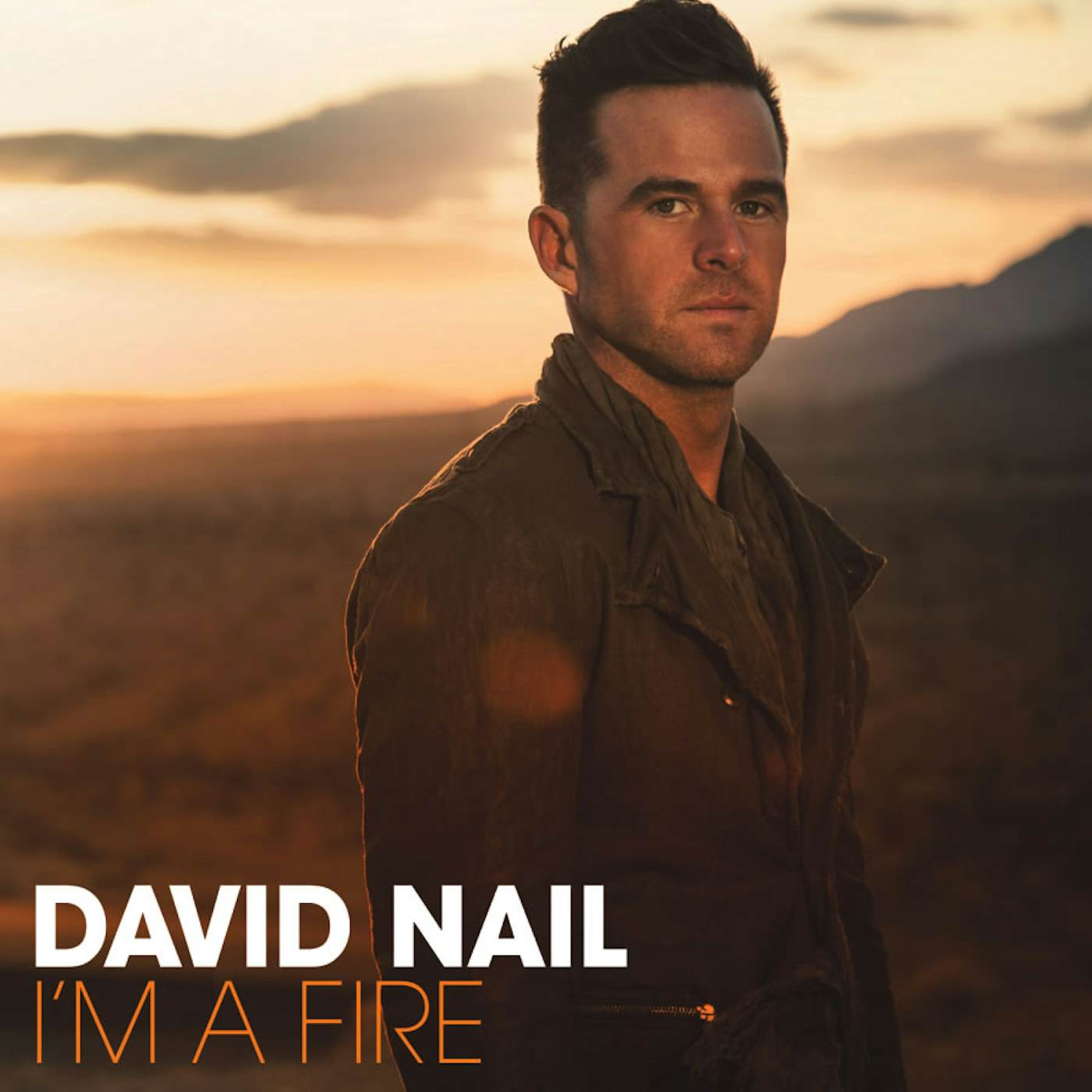 David Nail I'M A FIRE CD