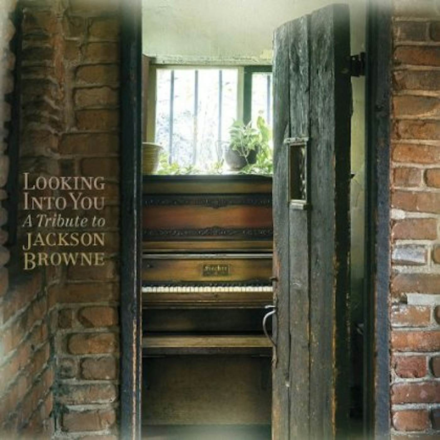 LOOKING INTO YOU: TRIBUTE TO JACKSON BROWNE / VAR CD