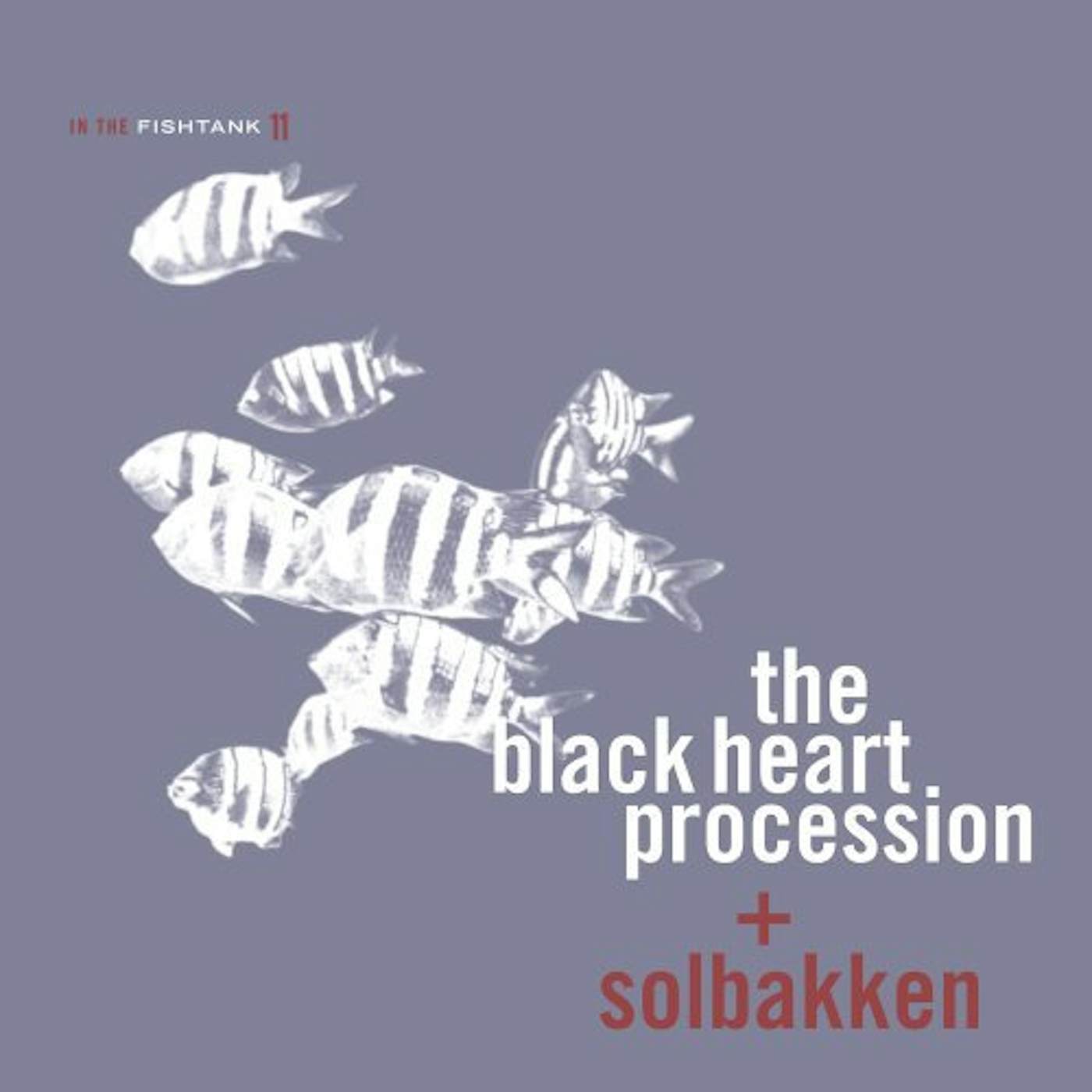 Black Heart Procession / Solbakken IN THE FISHTANK 11  (SLV) Vinyl Record - Colored Vinyl
